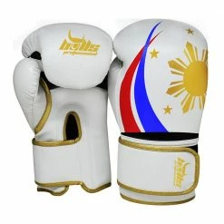 Bulls Professional Classic Boxing Gloves - PH Philippines Design Sports