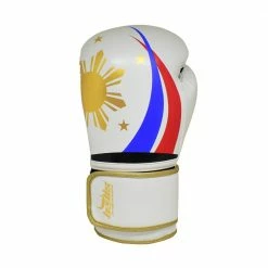 Bulls Professional Classic Boxing Gloves - PH Philippines Design Sports