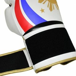 Bulls Professional Classic Boxing Gloves - PH Philippines Design Sports