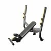 Cardio Machines/Equipment Element Fitness Olympic Incline Bench Gym Bench