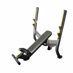 Cardio Machines/Equipment Element Fitness Olympic Incline Bench Gym Bench