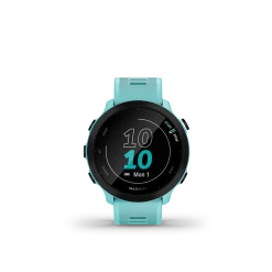 Garmin Forerunner 55 GPS Smartwatch