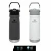 Tumblers & Food Jars Stanley IceFlow Flip Straw Water Bottle Vacuum Insulated Tumbler 17 Oz.-22 Oz.