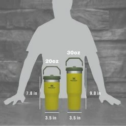 Stanley IceFlow Flip Straw Tumbler 20 Oz. - 30 Oz.